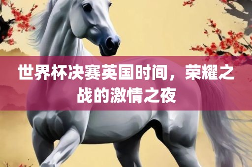 世界杯决赛英国时间，荣耀之战的激情之夜