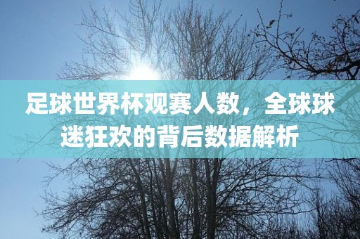 足球世界杯观赛人数，全球球迷狂欢的背后数据解析漯河市盈旭机械设备有限公司