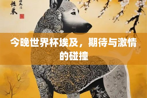 今晚世界杯埃及，期待与激情的碰撞漯河市盈旭机械设备有限公司