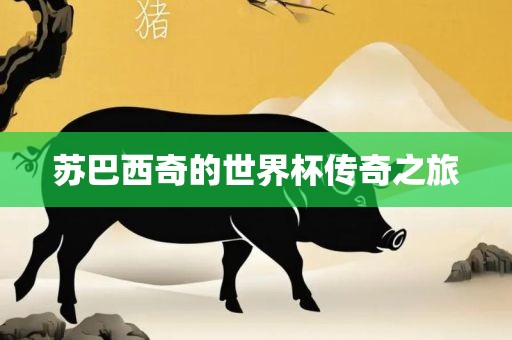 苏巴西奇的世界杯传奇之旅漯河市盈旭机械设备有限公司