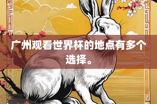 广州观看世界杯的地点有多个选择。