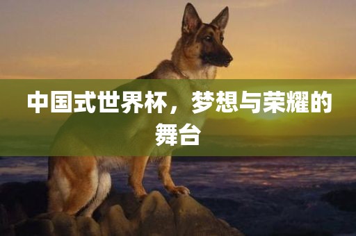 中国式世界杯，梦想与荣耀的舞台