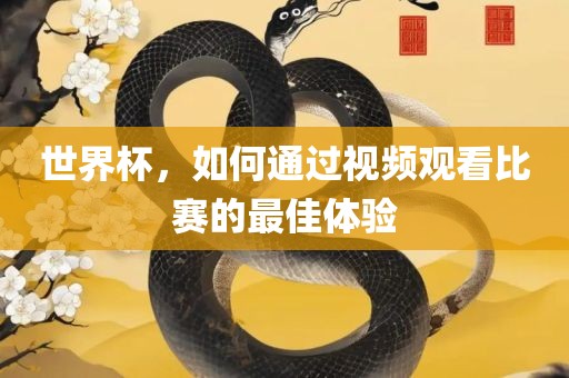 世界杯，如何通过视频观看比赛的最佳体验漯河市盈旭机械设备有限公司