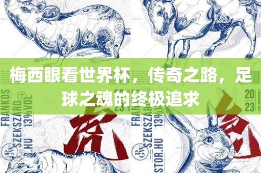 梅西眼看世界杯，传奇之路，足球之魂的终极追求