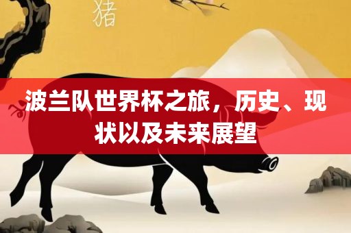 波兰队世界杯之旅，历史、现状以及未来展望