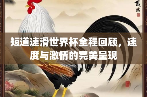 短道速滑世界杯全程回顾，速度与激情的完美呈现