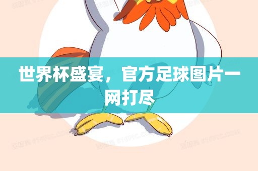 世界杯盛宴，官方足球图片一网打尽