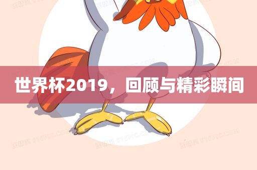 世界杯2019，回顾与精彩瞬间漯河市盈旭机械设备有限公司