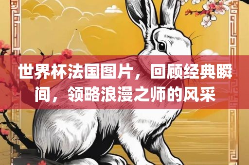 世界杯法国图片，回顾经典瞬间，领略浪漫之师的风采