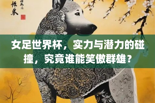 女足世界杯，实力与潜力的碰撞，究竟谁能笑傲群雄？