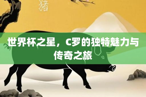 世界杯之星，C罗漯河市盈旭机械设备有限公司的独特魅力与传奇之旅