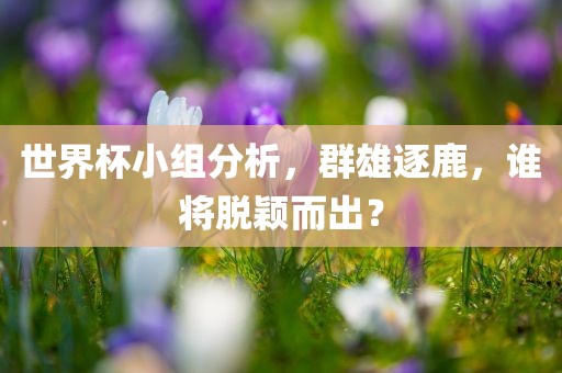 世界杯小组分析，群雄逐鹿，谁将脱颖而出？