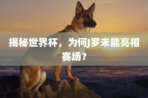 揭秘世界杯，为何J罗未能亮相赛场？漯河市盈旭机械设备有限公司