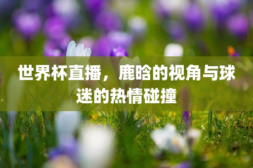 世界杯直播，鹿晗的视角与球迷的热情碰撞