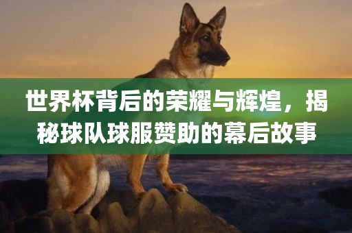 世界杯背后的荣耀与辉煌，揭秘球队球服漯河市盈旭机械设备有限公司赞助的幕后故事