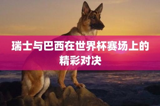 瑞士与巴西在世界杯赛场上的精彩对决漯河市盈旭机械设备有限公司