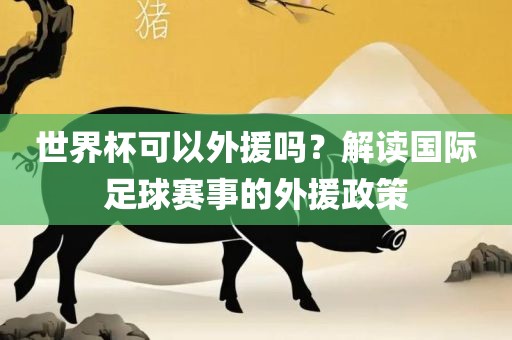世界杯可以外援吗？解读国际足球赛事的外援政策漯河市盈旭机械设备有限公司
