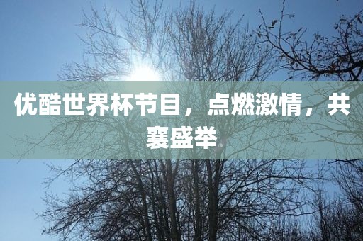优酷世界杯节目，点燃激情，共襄盛举漯河市盈旭机械设备有限公司