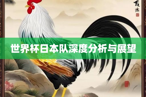 世界杯日本队深度分析与展望
