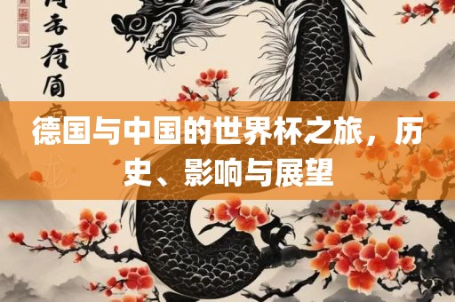 德国与中国的世界杯之旅，历史、影响与展望