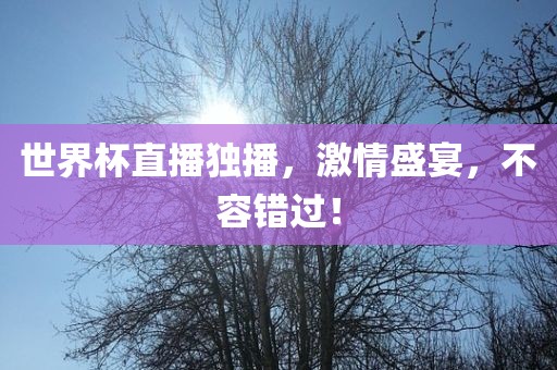 世界杯直播独播，激情盛宴，不容错过！