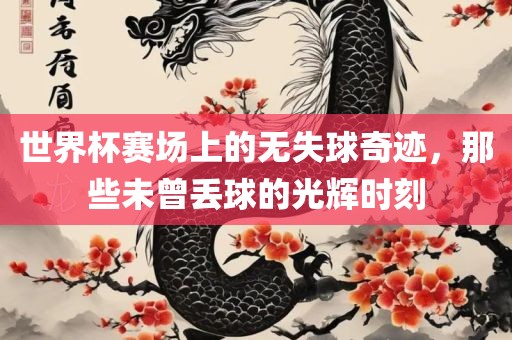 世界杯赛场上的无失球奇迹，那些未曾丢球的光辉时刻漯河市盈旭机械设备有限公司