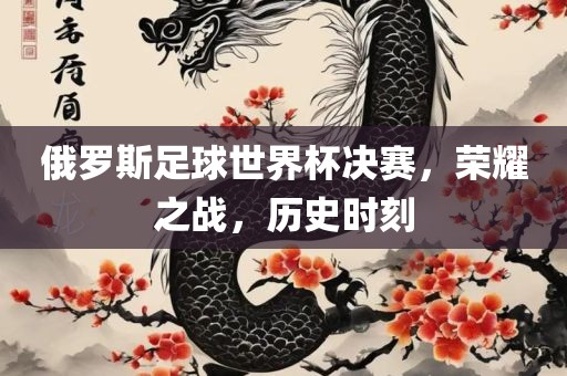 俄罗斯足球世界杯决赛，荣耀之战，历史时刻