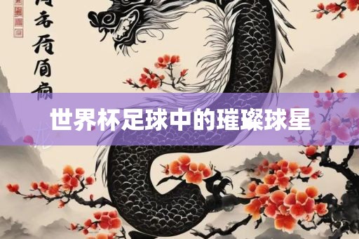 世界杯足球中的璀璨球星