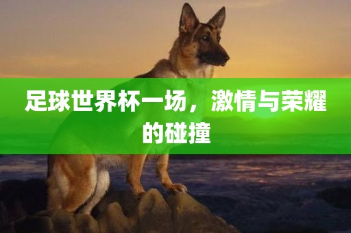 足球世界杯一场，激情与荣耀的碰撞