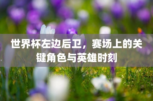 世界杯左边后卫，赛场上的关键角色与英雄时刻漯河市盈旭机械设备有限公司