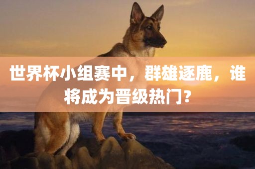 世界杯小组赛中，群雄逐鹿，谁将成为晋级热门？