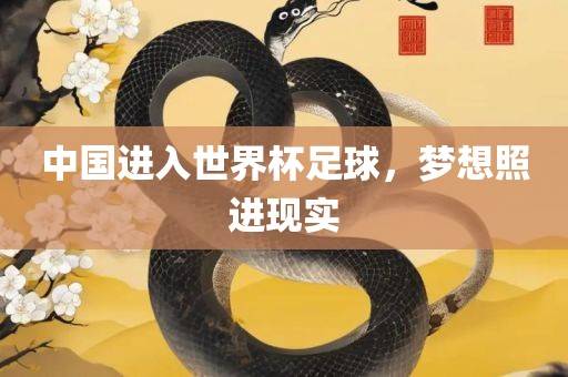 中国进入世界杯足球，梦想照进现实