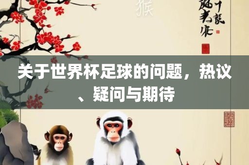 关于世界杯足球的问题，热议、疑问与期待