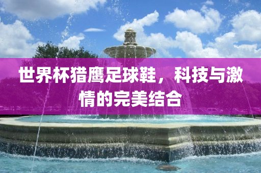 世界杯猎鹰足球鞋，科技与激情的完美结合漯河市盈旭机械设备有限公司