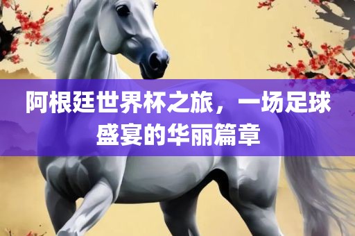 阿根廷世界杯之旅，一场足球盛宴的华丽篇章
