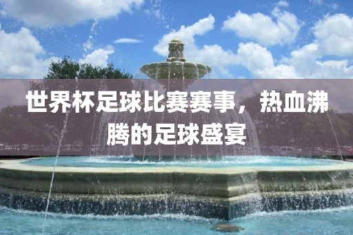 世界杯足球比赛赛事，热血沸腾的足球盛宴