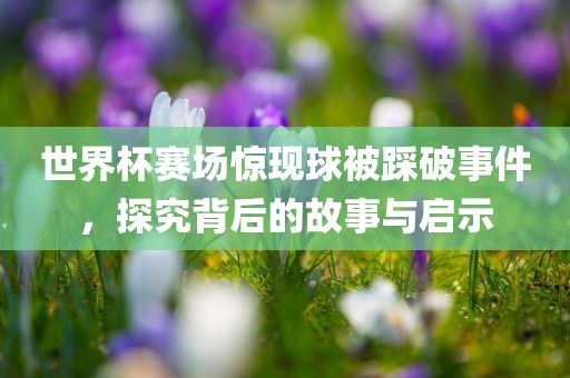 世界杯赛场惊现球被踩破事件，探究背后的故事与启示漯河市盈旭机械设备有限公司