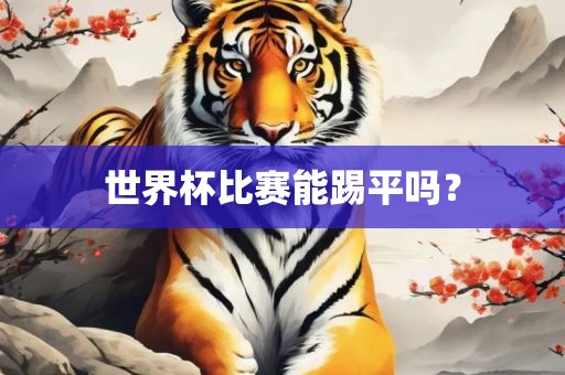 世界杯比赛能踢平吗？漯河市盈旭机械设备有限公司