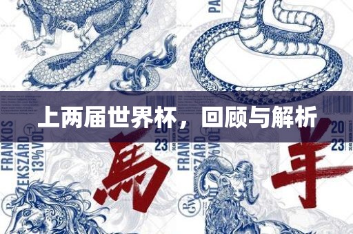 上两届世界杯，回顾与解析