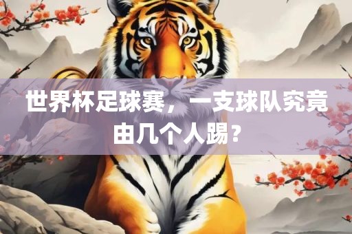 世界杯足球赛，一支球队究竟由几个人踢？