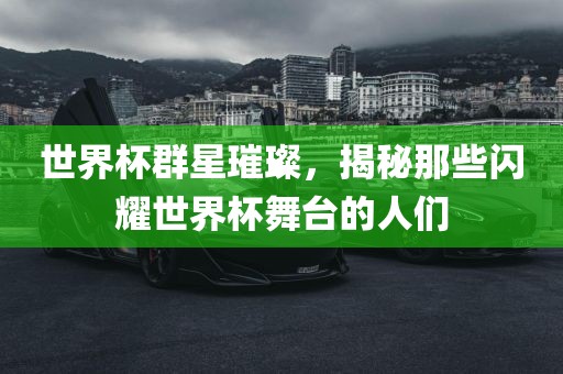 世界杯群星璀璨，揭秘那些闪耀世界杯舞漯河市盈旭机械设备有限公司台的人们