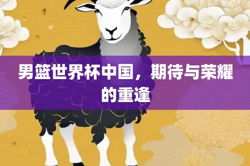 男篮世界杯中国，期待与荣耀的重逢