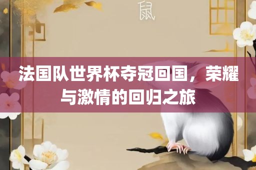 法国队世界杯夺冠回国，荣耀与激情的回归之旅