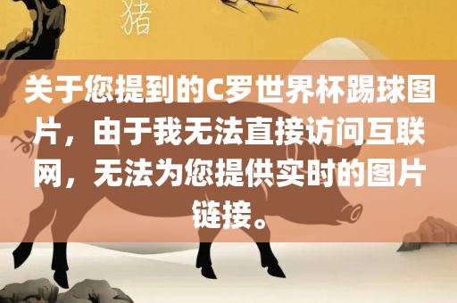 关于您提到的C罗世界杯踢球图片，由于我无法直接访问互联网，无法为您提供实时的图片链接。漯河市盈旭机械设备有限公司