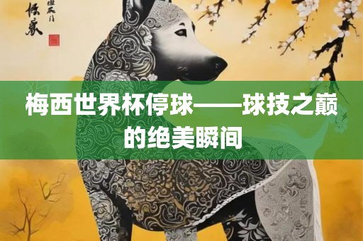 梅西世界杯停球——球技之巅的绝美瞬间漯河市盈旭机械设备有限公司