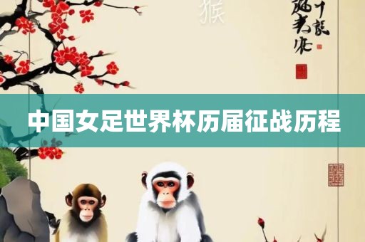 中国女足世界杯历届征战历程