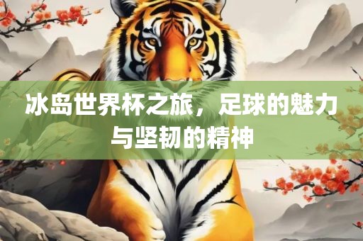 漯河市盈旭机械设备有限公司冰岛世界杯之旅，足球的魅力与坚韧的精神