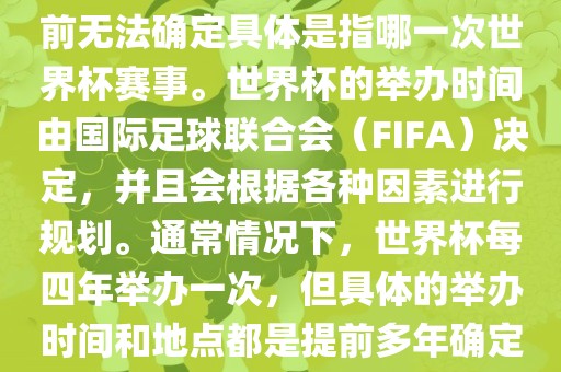关于下一站世界杯的信息，目前无法确定具体是指哪一次世界杯赛事。世界杯的举办时间由国际足球联合会（FIFA）决定，并且会根据各种因素进行规划。通常情况下，世界杯每四年举办一次，但具体的举办时间和地点都是提前多年确定的。