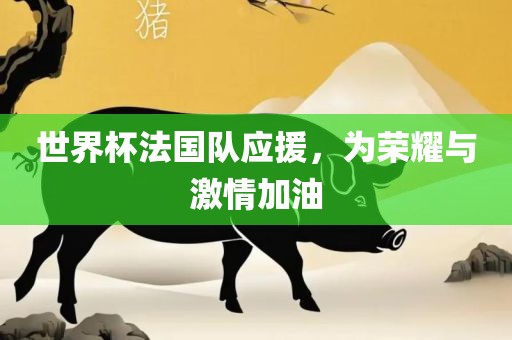 世界杯法国队应援，为荣耀与激情加油
