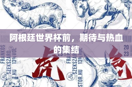 阿根廷世界杯前，期待与热血的集结